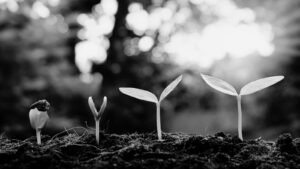 Carbon Maps – obiecujący francuski start-up